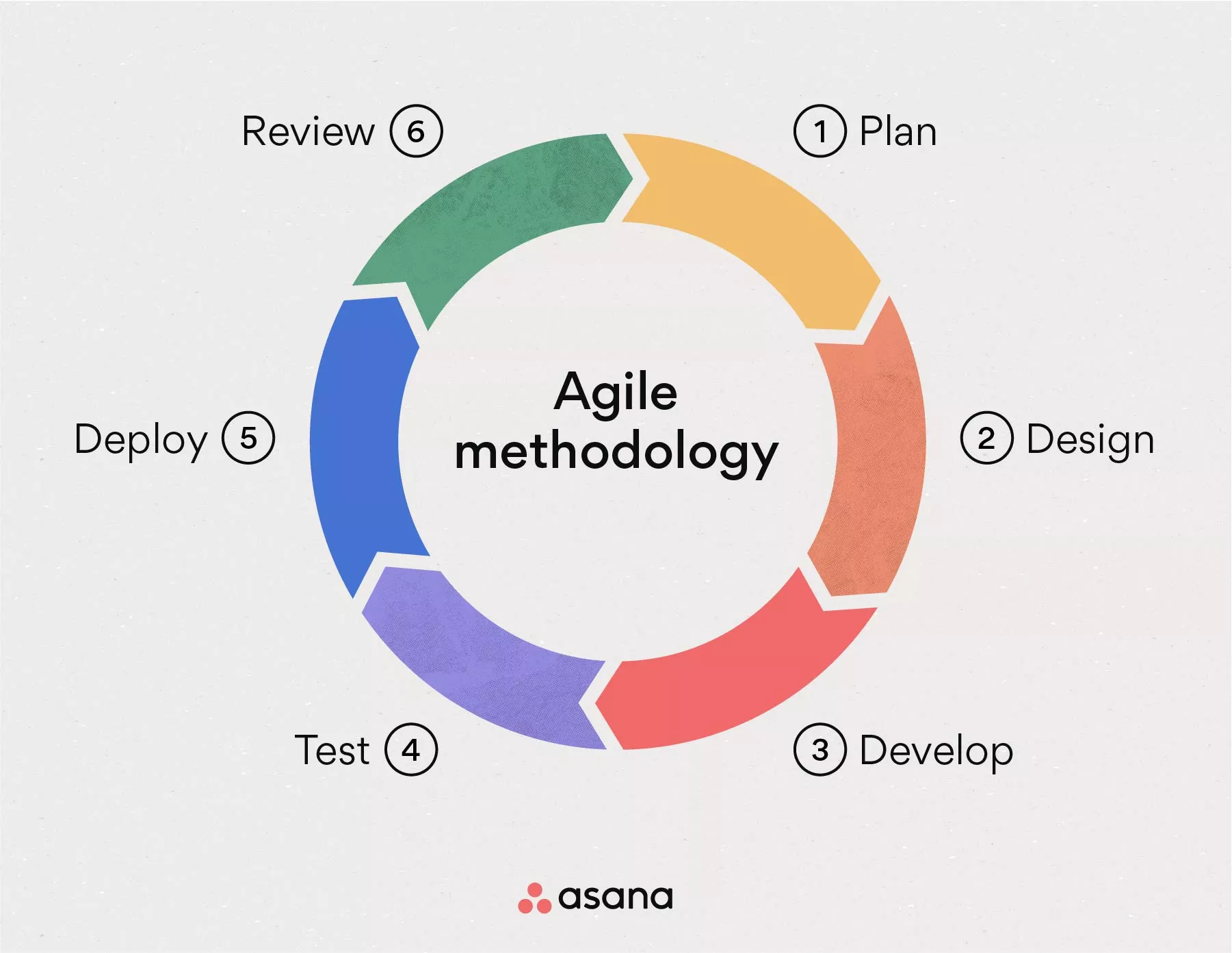 agile 1